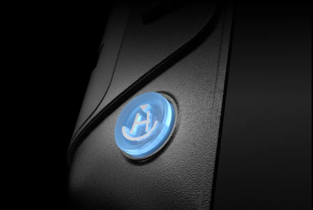 'H' Button