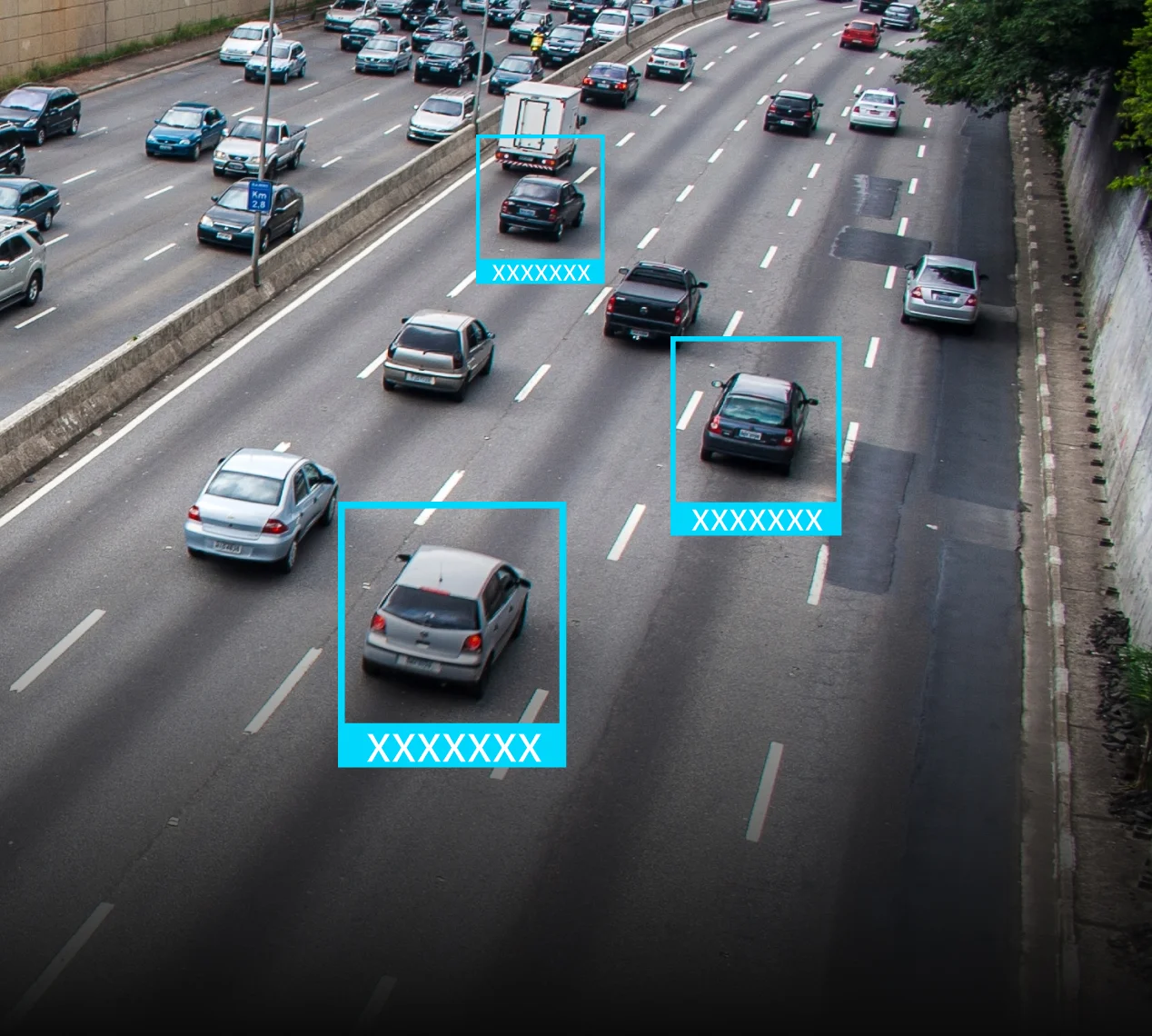 AI Recognition & Tracking