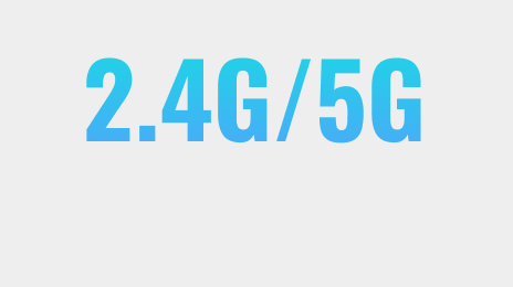 Dual Frequency Redundancy