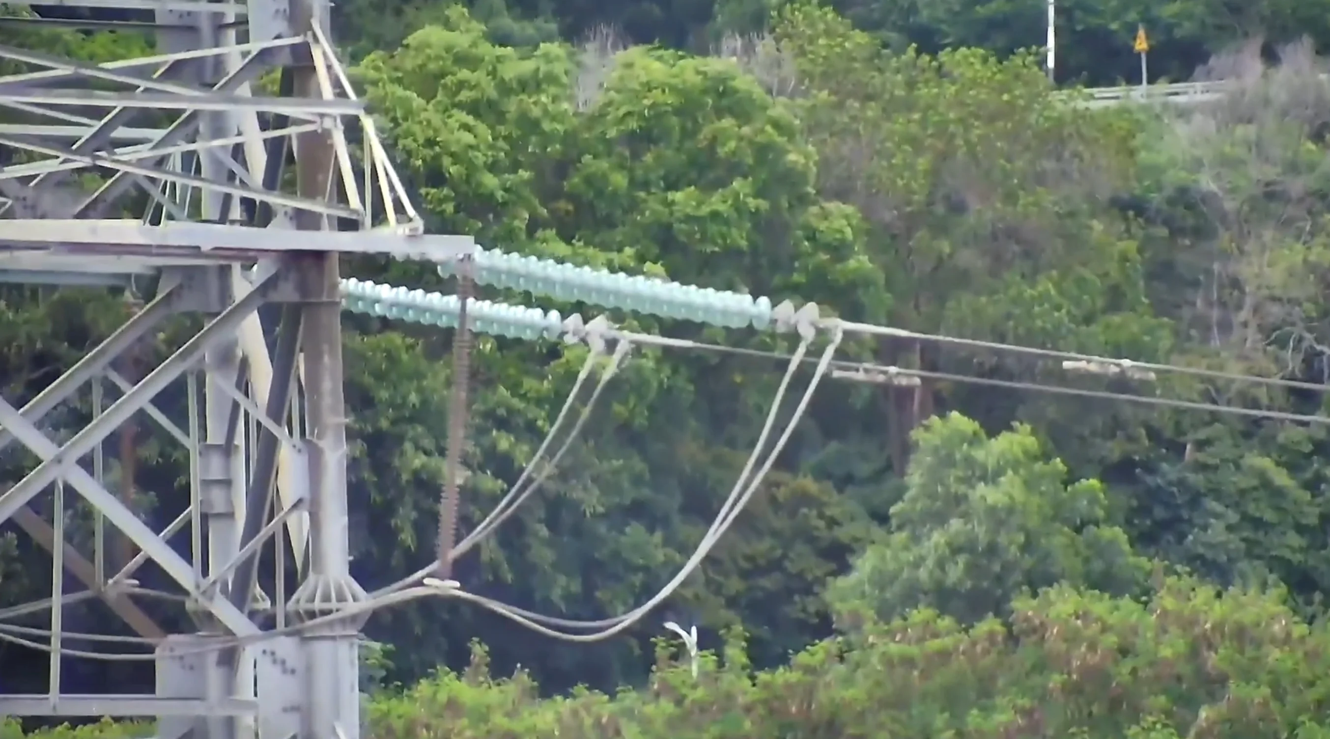 ZR10 flight test in daylight with 30X zoom ability demostration